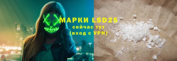 индика Костерёво