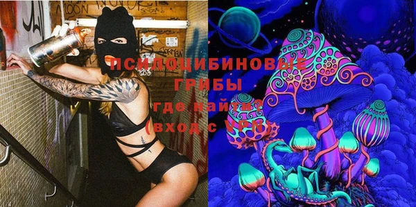 прущие грибы Алексеевка