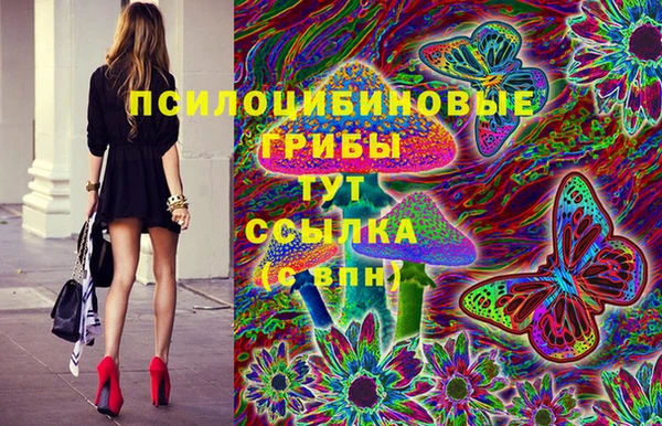 прущие грибы Алексеевка