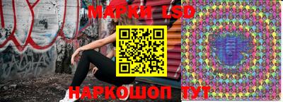 СК Моздок
