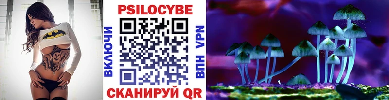 Галлюциногенные грибы Psilocybine cubensis  Самара 