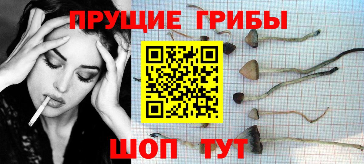 Псилоцибиновые грибы Psilocybe  как найти закладки  Самара  Вход с VPN 
