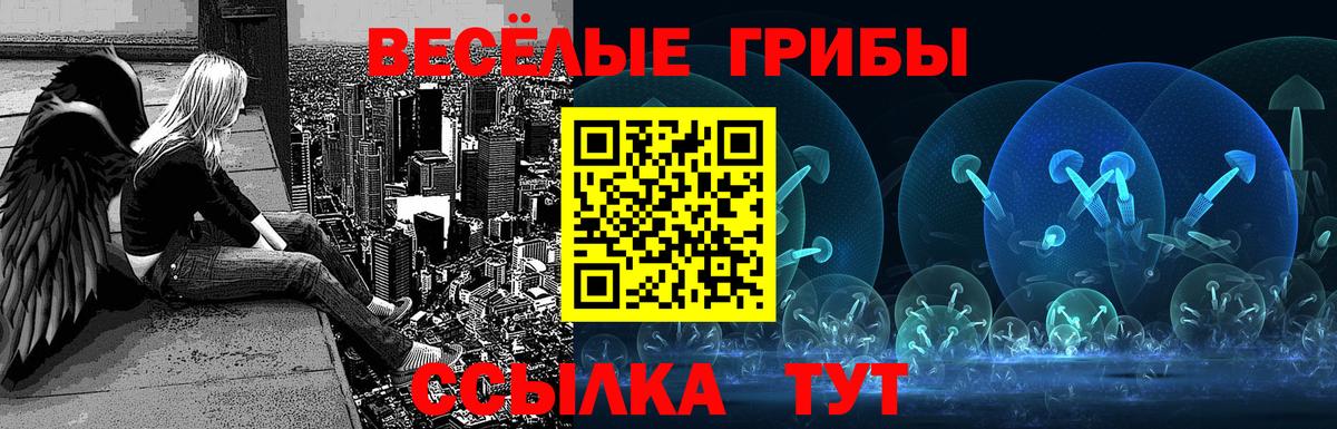 Псилоцибиновые грибы прущие грибы Самара